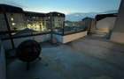 Apartament de vanzare 2 camere 110 mp (roof Top) - 4