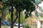 Aapartamentt deosebit 4 xamwrw 103 np
