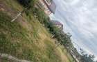 Apartament 3 camere cu acces la gradina ?i zona verde Sanandrei