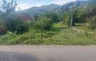 Teren Avram Iancu Jud Alba - 3