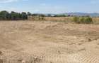 Teren pentru casa de vanzare in Sebes 1354 mp 26 metri deschidere apa gaz curent asfalt - 1