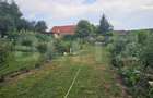 Casa in Bacau de Mijloc, jude?ul Arad - Suceava (Suceava) - 5