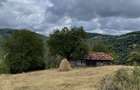 Vand teren, casa si grajd lemn Damis - 1