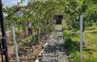 Teren intravilan casa - 5