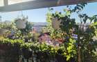 Apartament 2 camere decomandat