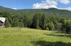 Teren intravilan 1662 mp pozitie superba-Calea Brasovului Valea Neagra - 14