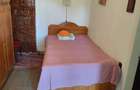Casa, anexa, teren 1.500 mp - Lunca Mare, ?otrile, 75.000 negociabil - 10