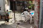 Casa CATARGIU - langa Medicina ?i Spitalul Jude?ean - 9