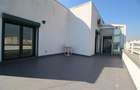 Penthouse langa parcul Gradina Icoanei - 24
