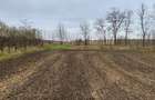 Teren Dorohoi - 23000 mp - Sau - Parcele 1000mp, 900mp, 1500mp, etc. - 7