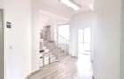 Spatiu Comercial Multifunctional Banat-CLASA A - 13