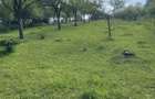 Teren 3.346 mp Cerbureni 1.587 mp intravilan | Utilitati | Potential turistic - 2