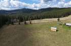 Teren de vanzare 15 hectare in Bucovina Moldova Sulita zona Lucina - 2