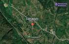 6.605 mp de natura pura refugiu, afacere sau investitie in Candest - 5