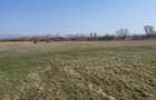 Teren intravilan 4700m2 Culcea periferie, Com. Sacalaseni - parcelabil - 2