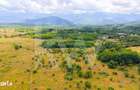 Teren extravilan de vanzare - Valea Avrigului, Sibiu - 3