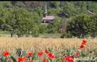 Vanzare terenuri construc?ii (agricol)