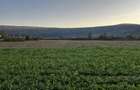 Teren extravilan-arabil 5800m2