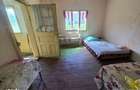 Proprietate in comuna Vedea, teren = 4200 mp - 1