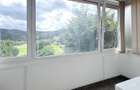 Apartament cu 4 camere decomandat în Noua - 3