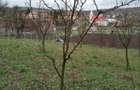 Scadere de pre?! Teren construibil de vanzare Calarasi sat, intravilan 3000 mp central intabulat - 2