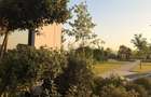 Apartament 2 camere, 54 mp, complet finisat West Avenue Residence