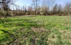 Rachitova, Casa 8 Incaperi, 3800mp Teren, Usor Negociabil - 6