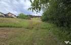 Teren de vanzare in Campina, Muscel - 5