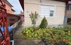 Casă de vânzare cu curte, grădină și beci