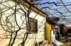 Casa in Bradu | 700 mp Teren | Acces Asfalt | Oportunitate Excelenta - 5