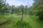 Casa cu Panorama Superba si 2300 mp Teren Liniste si Natura - 9