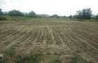 Teren agricol / ferma - 2