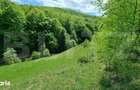 EXCLUSIVITATE! Teren extravilan, 5.400 mp, Comuna Iara, Valea Vadului - 2