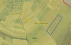 De vanzare doua terenuri arabile (9,1 ha si 10,44 ha), Rogova, Mehedinti. - 2