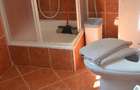 Predeal-Apartament cu patru camere ,mobilat si utilat -Cioplea - 8