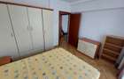 Renovat, Prima inchiriere, Tineretului, Metrou Timpuri Noi la 600m - 10