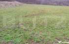 Teren superb 2.500 mp in Nicula lini?te, natura ?i p - 1