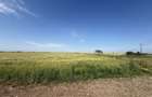 Teren 10 hectare pretabil pt panouri solare-Aricesti Rahtivani - 4