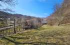 Teren intravilan 6.820 mp cu casa, padure ?i rau Alm - 6