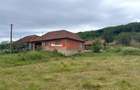 Aproximativ4 ha teren | Casa batraneasca | Beiusele - Bihor - 1