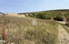 Teren Intravilan 500 mp in Dorobant, Aroneanu Toate Utilit - 2