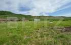 Hala, 230mp , zona Sud - 7