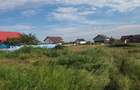 Teren de vanzare 400 mp in Dobreni, langa comuna Berceni - 6