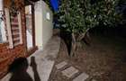 Sat Murani, Com. Pischia, Judetul Timis - 5