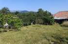 Teren intravilan ?i casa de vanzare, 3980 mp - 1
