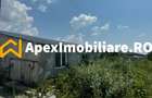 Hale Industriale de Vanzare Baicoi 1100 mp + 800 mp, te - 9