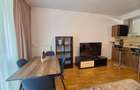Inchiriere Apartament 2 Camere Iancu Nicolae - 7