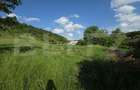 Teren intravilan 50 arii pe str. Valea Ghinzii - 2