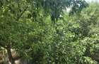 Colentina Rau vanzare apartament 2 camere - 10