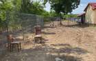 Teren 800 mp + Casa Demolabila | Acte la zi & Utilitati in curte | Mereni (Contesti), Dambovita - 2